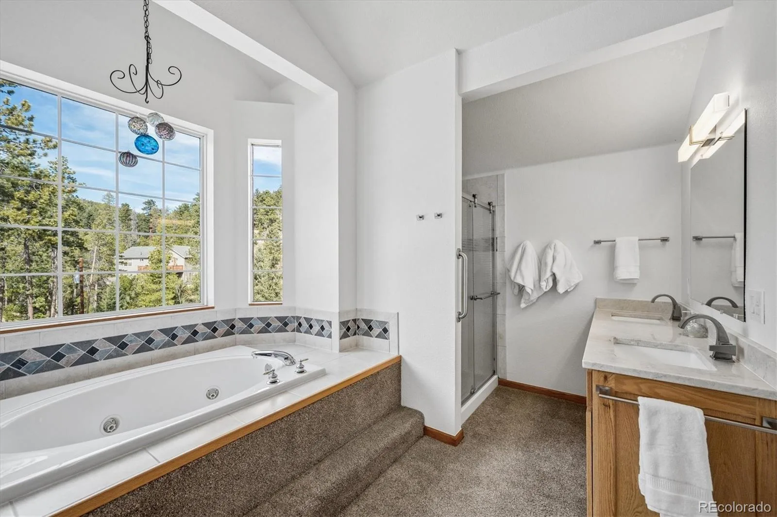 34155 Grouse Lane Evergreen CO 80439 | MLS #REC6622137 08052026154728 1600 23
