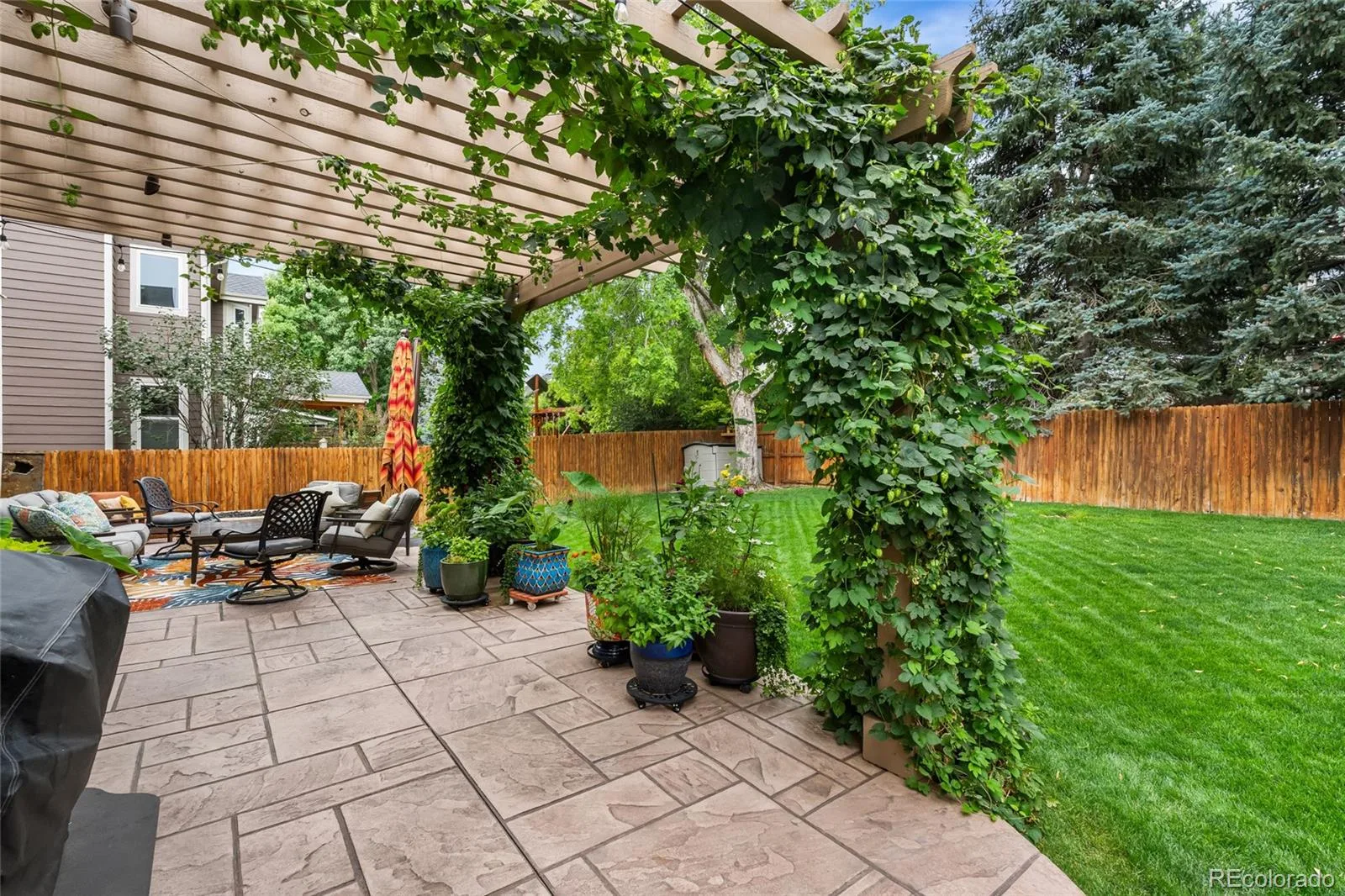 14152 W Cornell Avenue Denver CO 80228 | MLS #REC6623343 08062026185906 1600 30