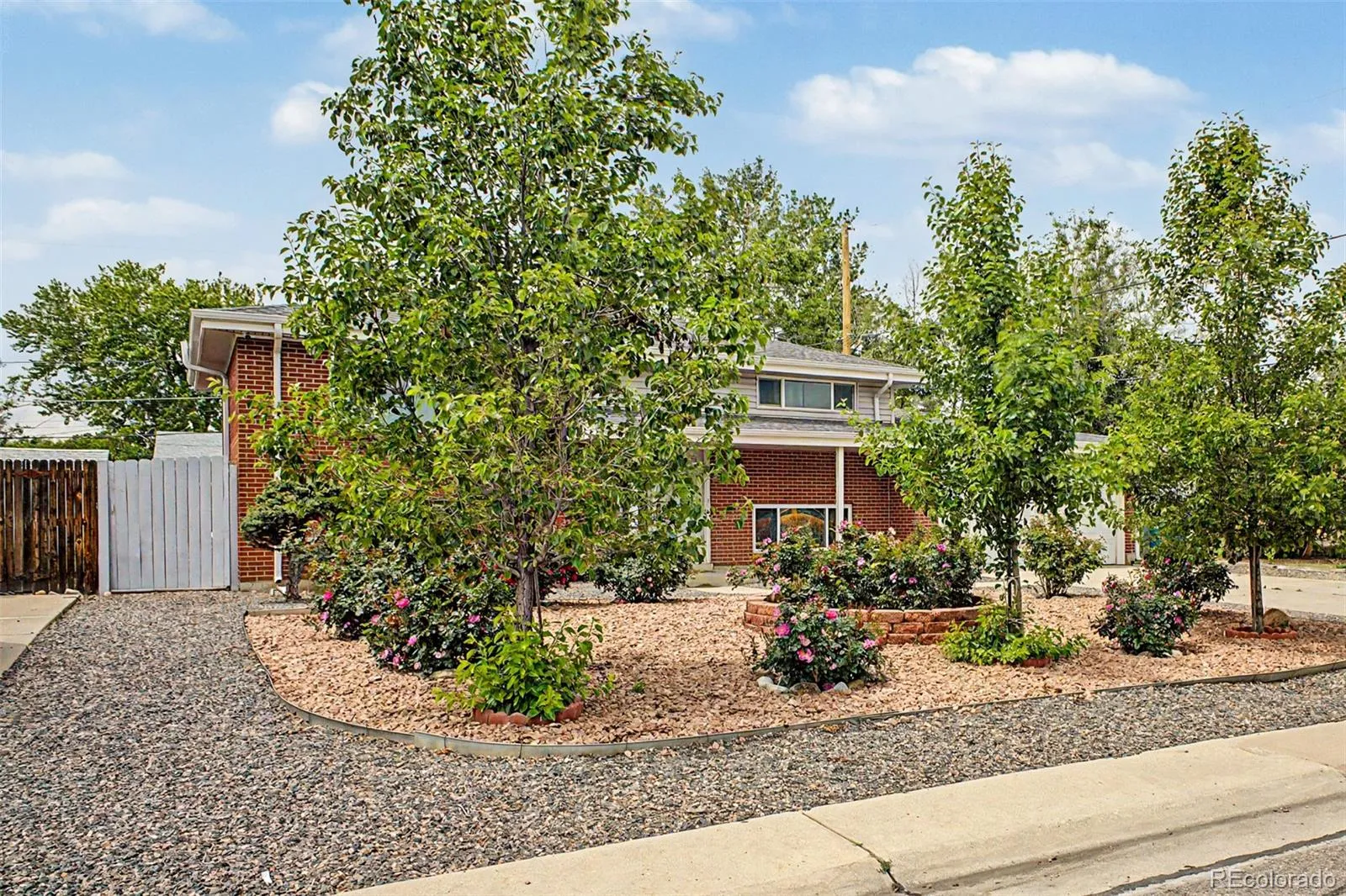933 Newcombe Street Lakewood CO 80215 MLS #REC6630741 05232026095244 1600 5