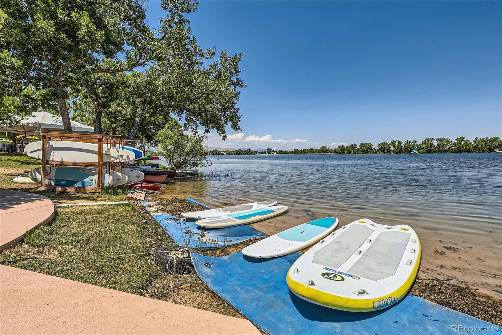 5357 S Harlan Way Littleton CO 80123 MLS #REC6631268 05132026210249 1600 36