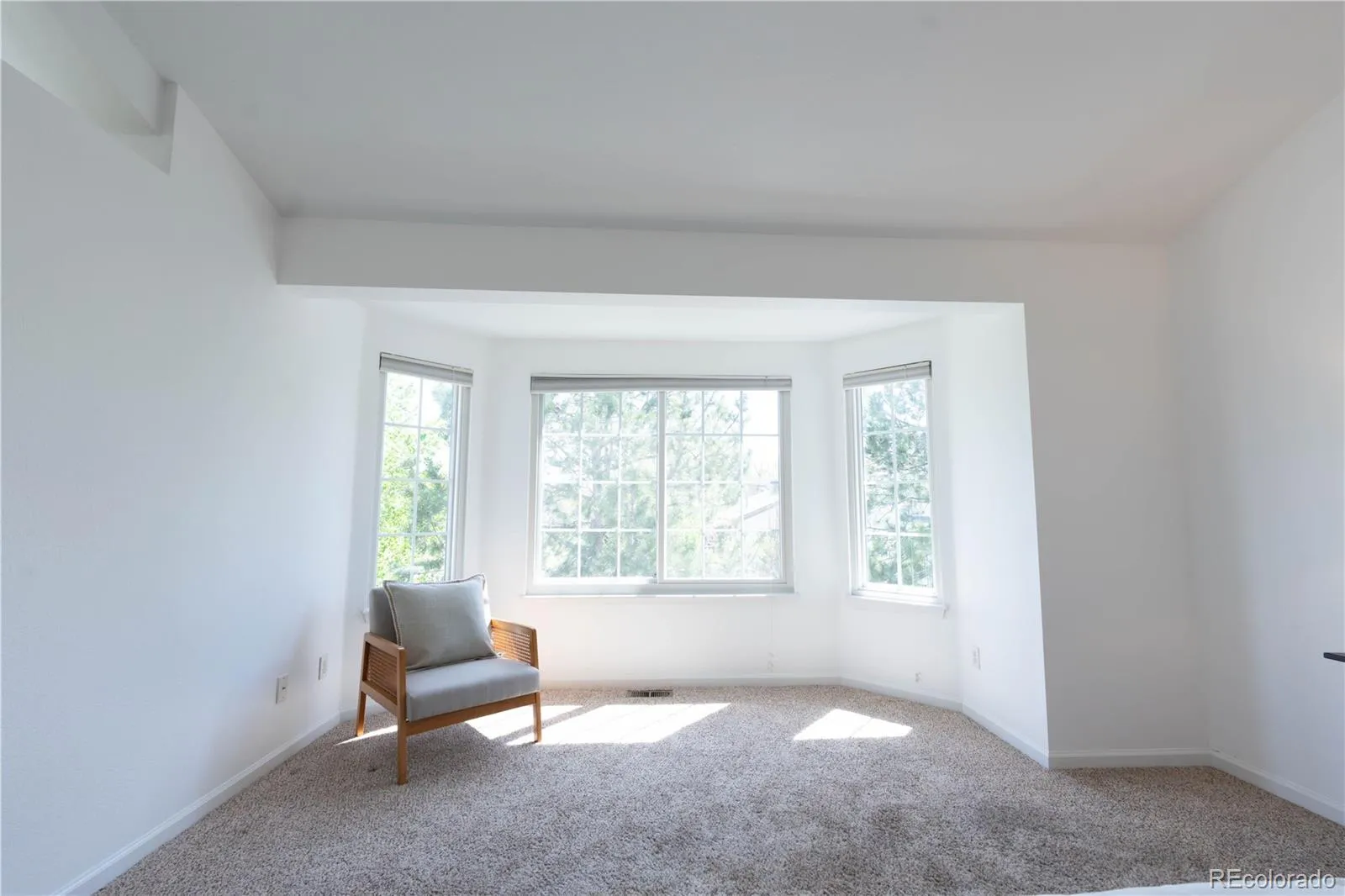18912 E Belleview Place Centennial CO 80015 MLS #REC6639720 04232026020342 1600 19