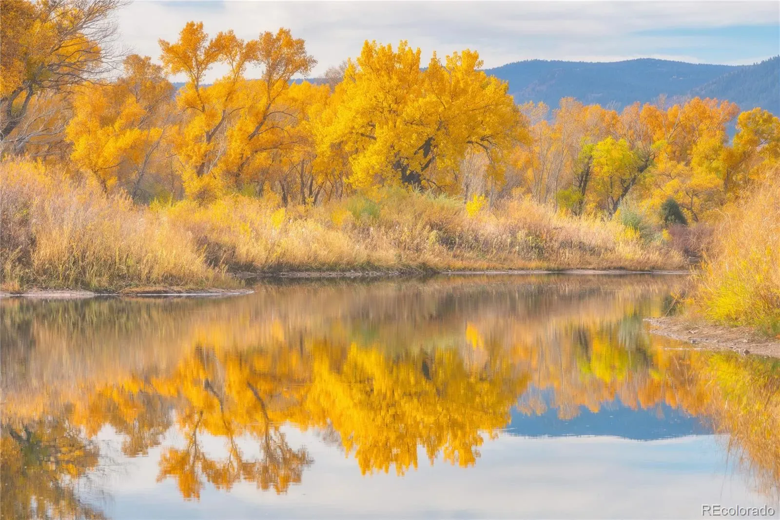 03272026043626 1600 29