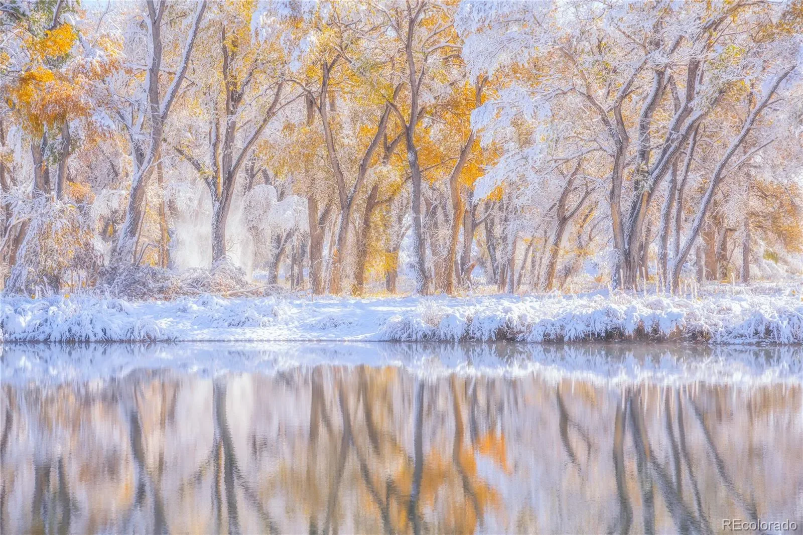 03272026043626 1600 31