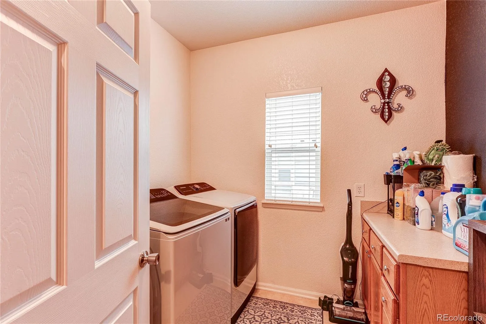 187 Apache Plume Court Brighton CO 80601 | MLS #REC6644459 07142026184004 1600 14