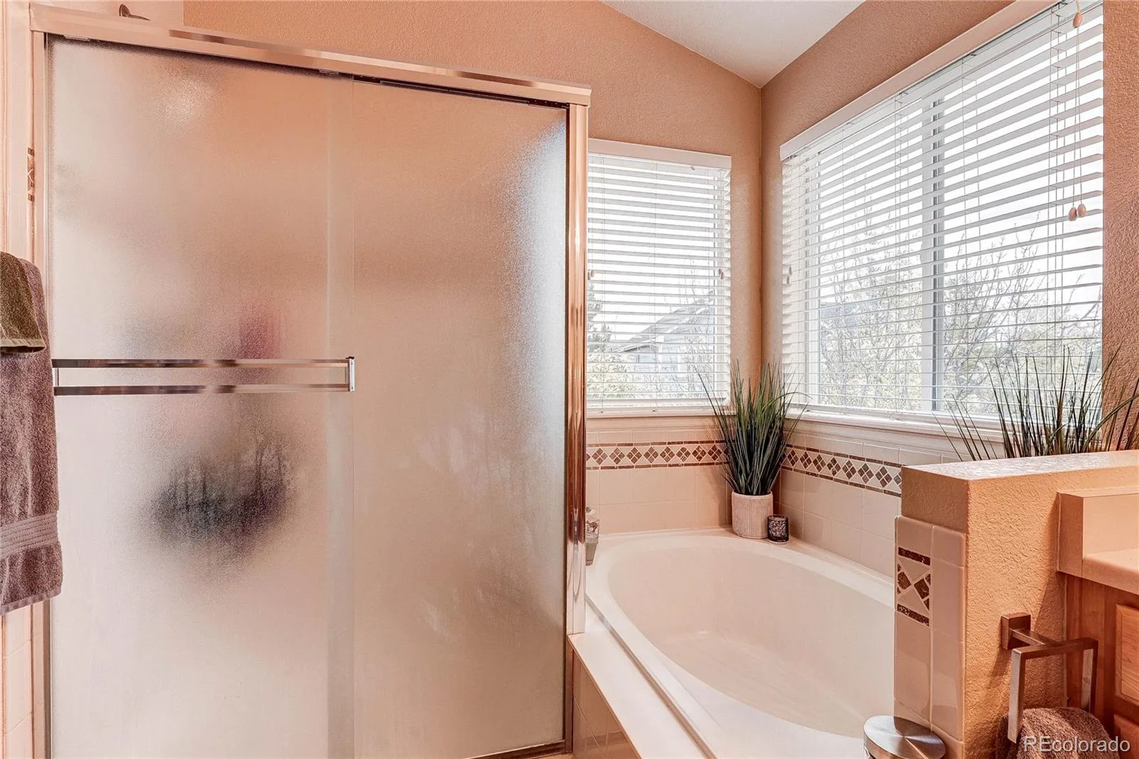 187 Apache Plume Court Brighton CO 80601 | MLS #REC6644459 07142026184004 1600 24
