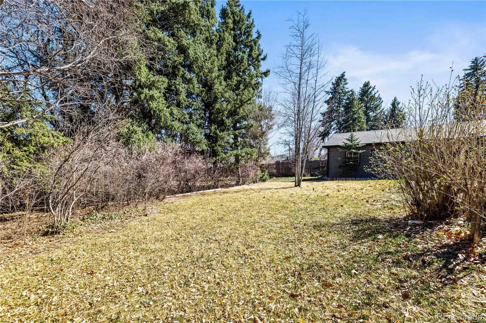 03282026001002 1600 32