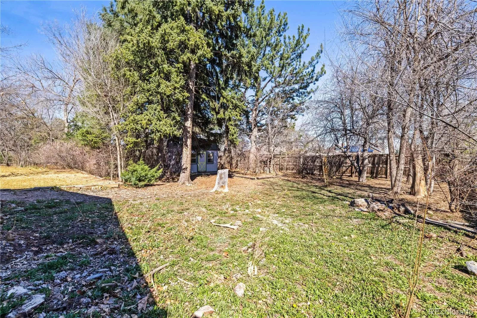 03282026001002 1600 37