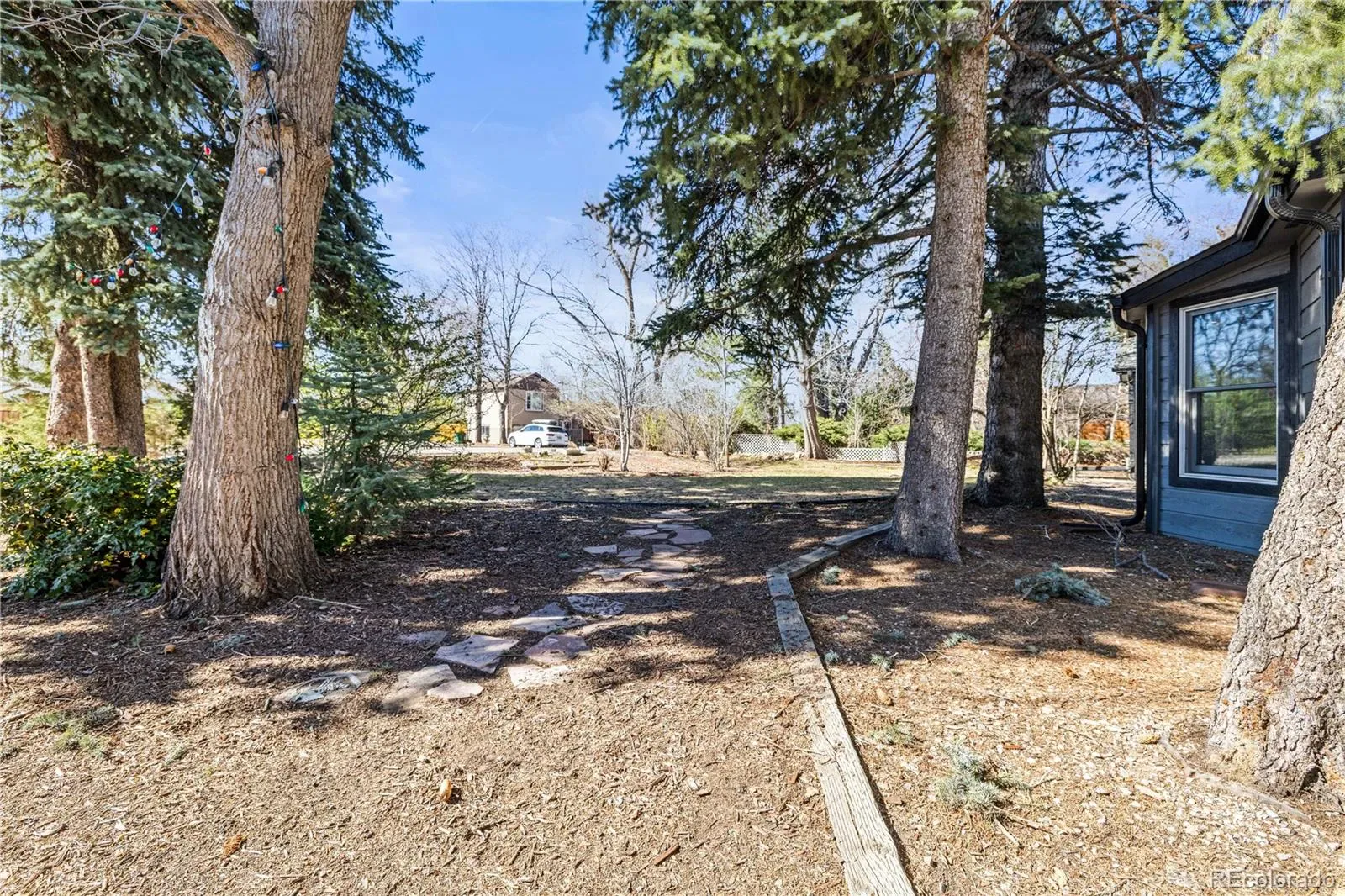 03282026001002 1600 40