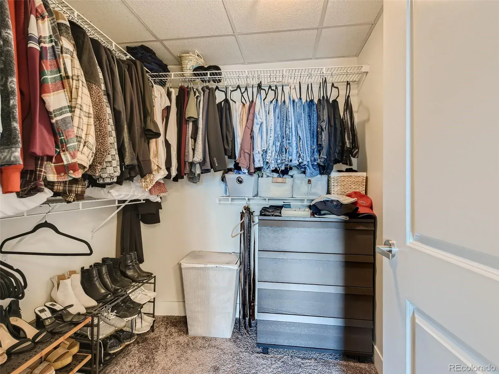 03032026040900 1600 18