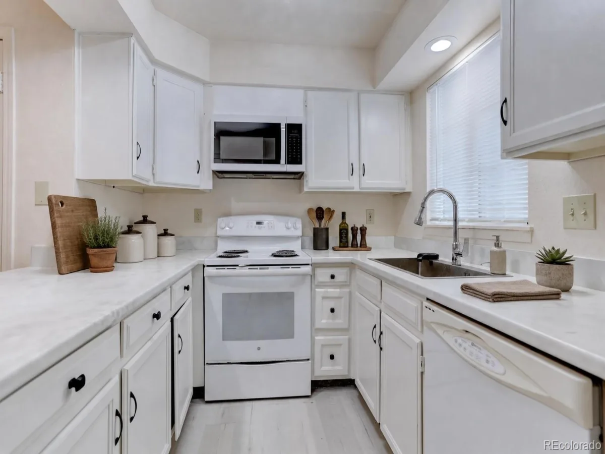 19842 Summerset Lane Parker CO 80138 | MLS #REC6651118 06032026184148 1200 12