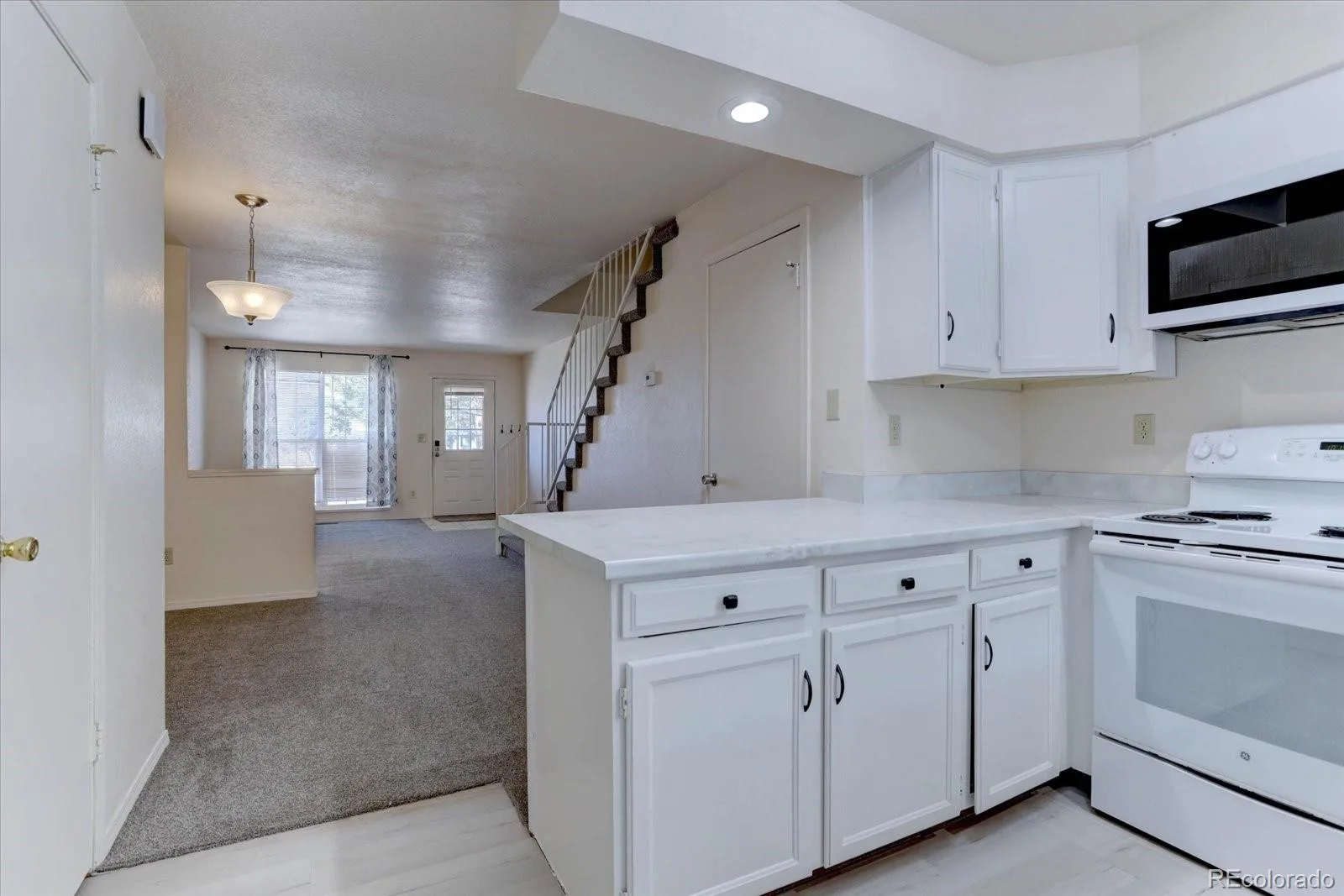 19842 Summerset Lane Parker CO 80138 | MLS #REC6651118 06032026184148 1600 18