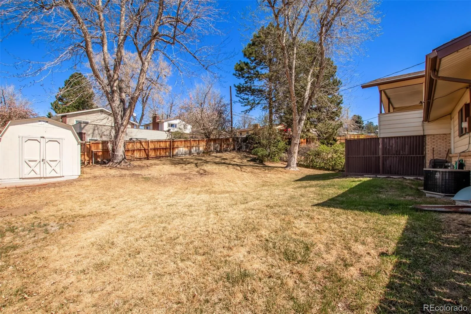 04062026182826 1600 17