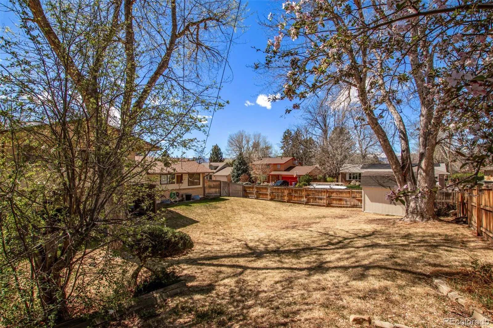 04062026182826 1600 18