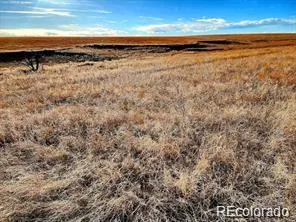9175 Prospect Way Road Byers CO 80103 MLS #REC6652653 06022026144858 296 4