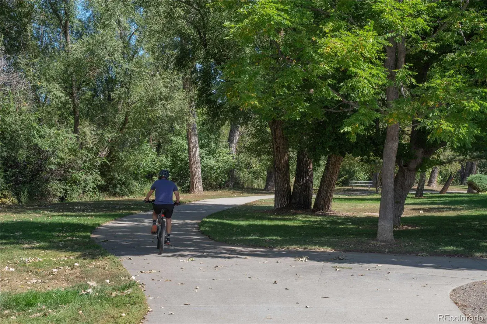 01022026010607 1600 40