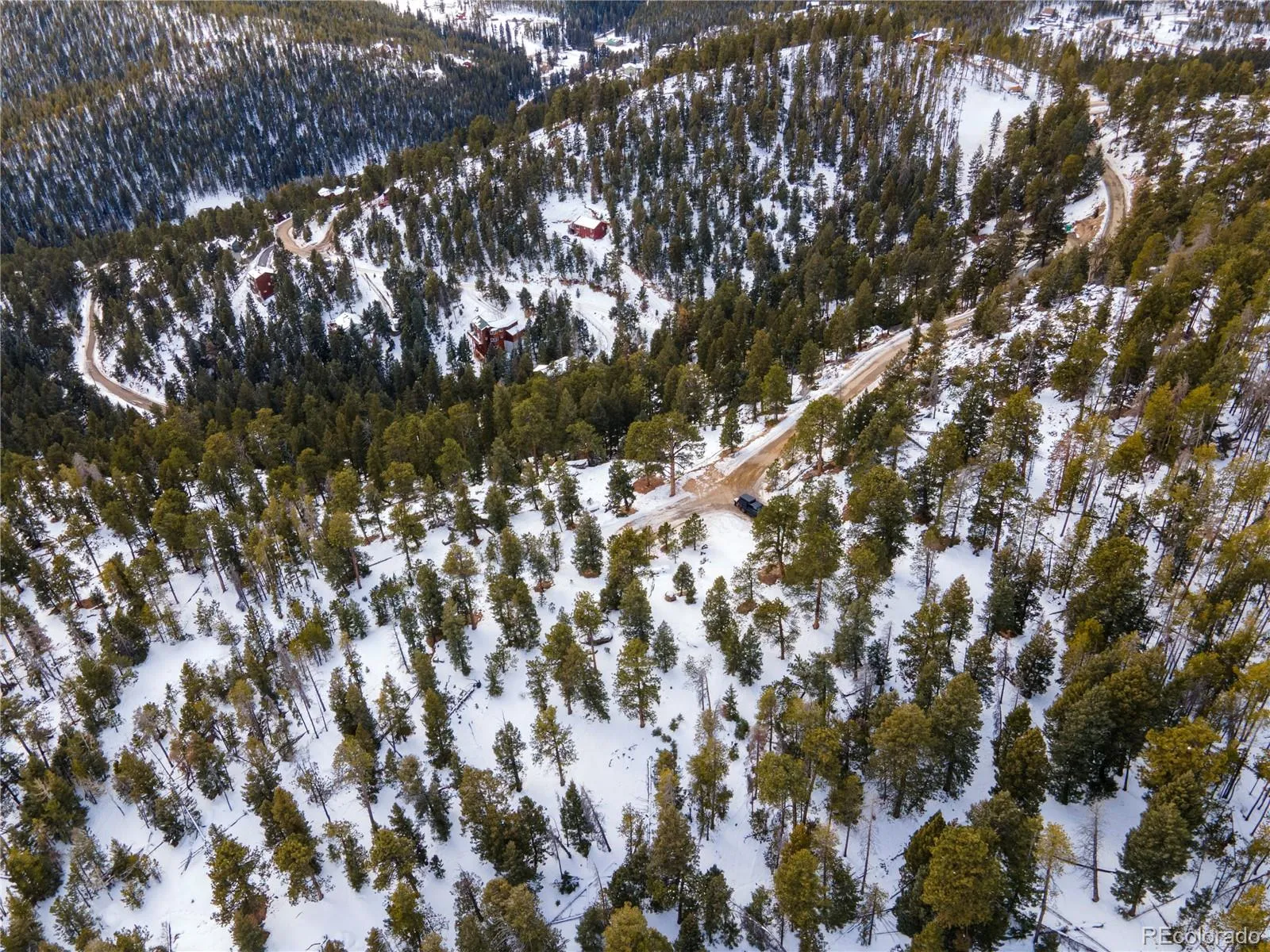 32593 Lodgepole Drive Evergreen CO 80439 | MLS #REC6668091 04232026222021 1600 5