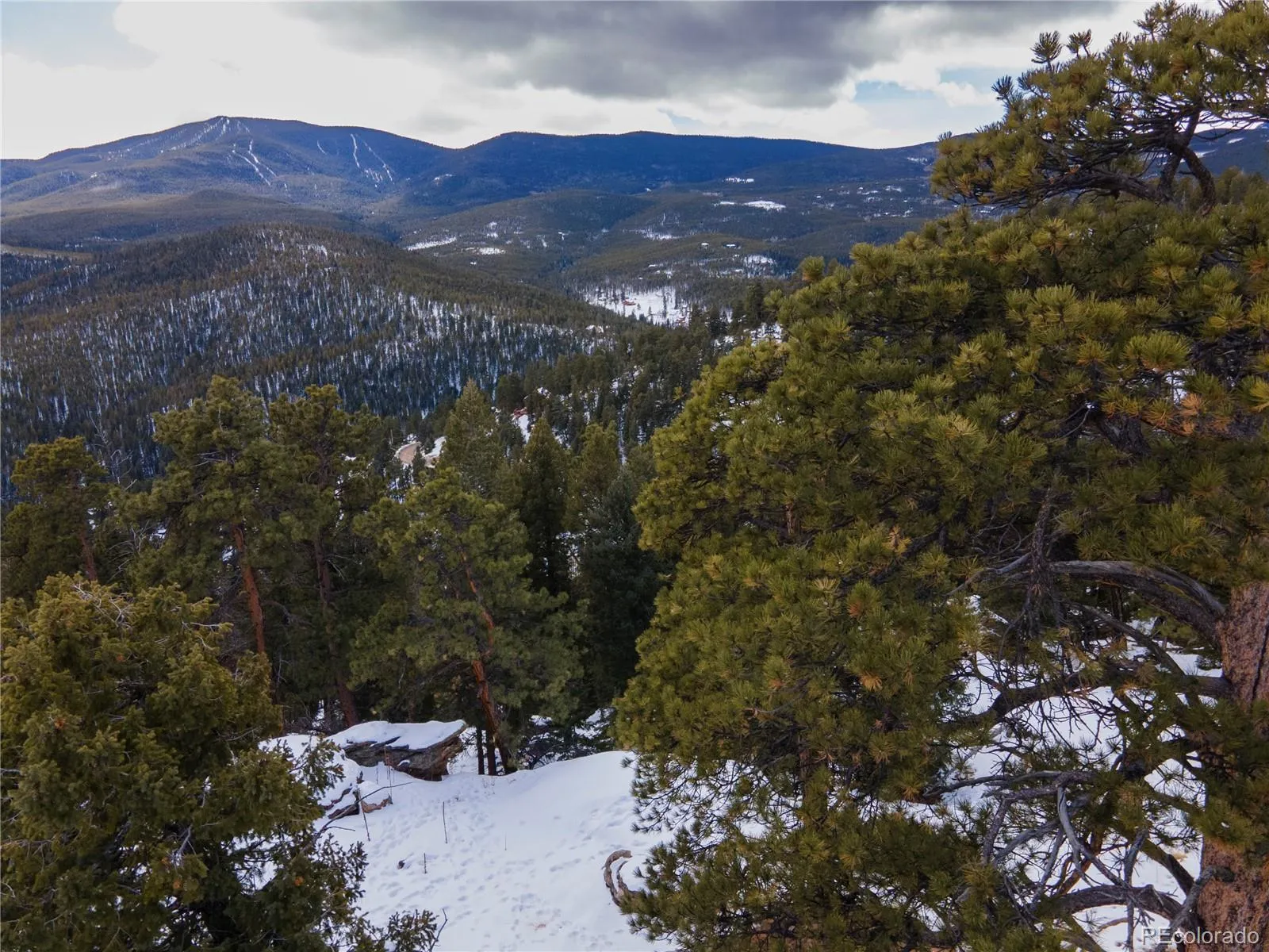 32593 Lodgepole Drive Evergreen CO 80439 | MLS #REC6668091 04232026222021 1600 6
