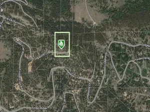 32593 Lodgepole Drive Evergreen CO 80439 | MLS #REC6668091 04232026222021 300 0