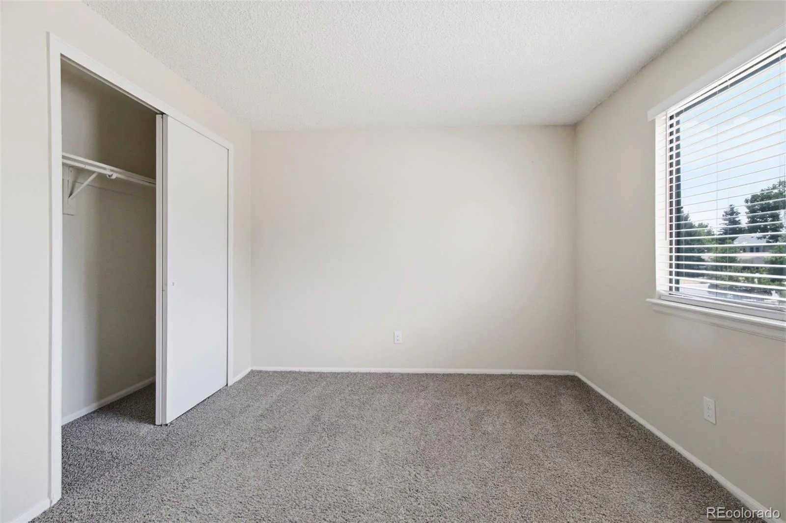 9525 W David Avenue Littleton CO 80128 | MLS #REC6670938 07152026082217 1600 18