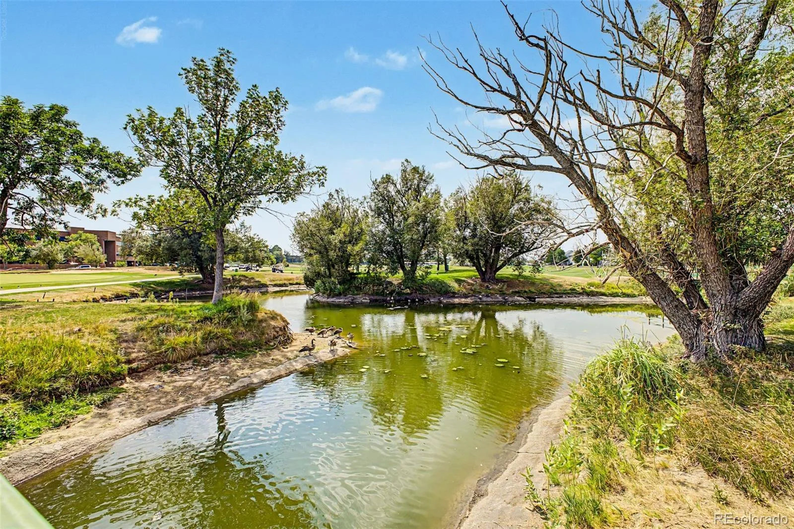 1955 S Xanadu Way Aurora CO 80014 | MLS #REC6671890 08092026143334 1600 30