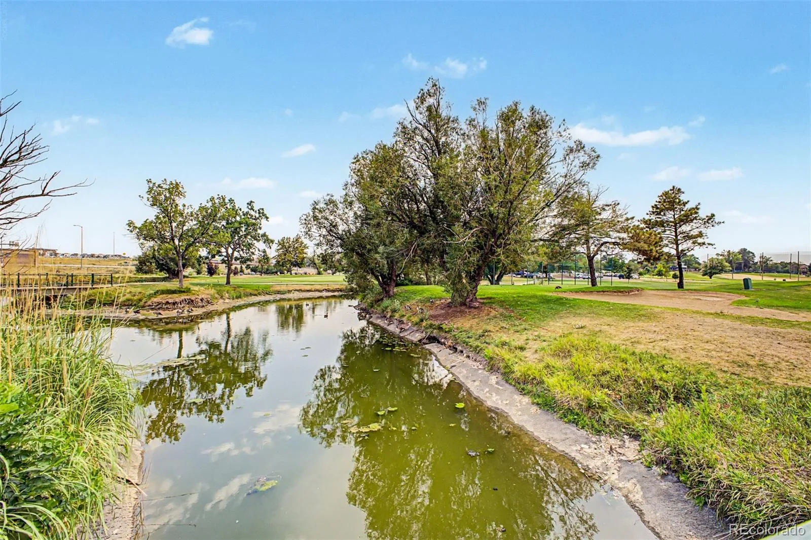 1955 S Xanadu Way Aurora CO 80014 | MLS #REC6671890 08092026143334 1600 31