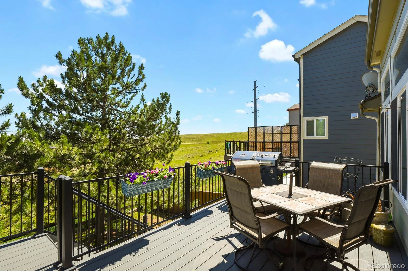 7267 Mountain Brush Lane Highlands Ranch CO 80130 | MLS #REC6674921 08272026232440 1600 30