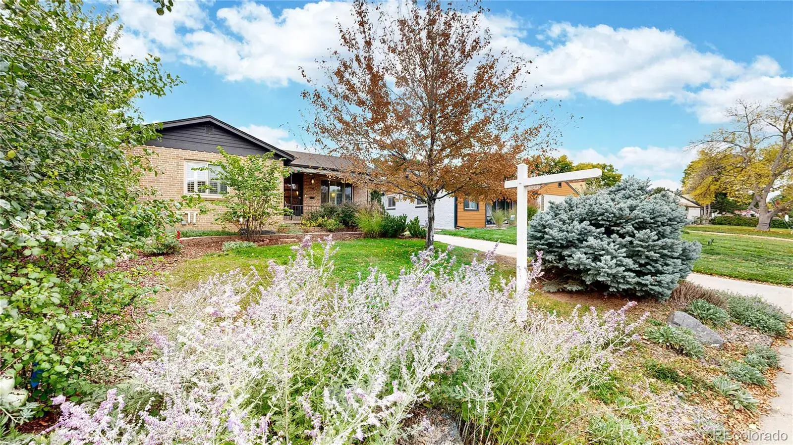 01082026234958 1600 3