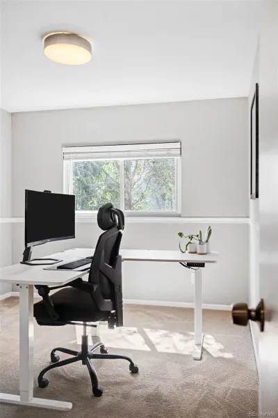 03172026020302 800 17