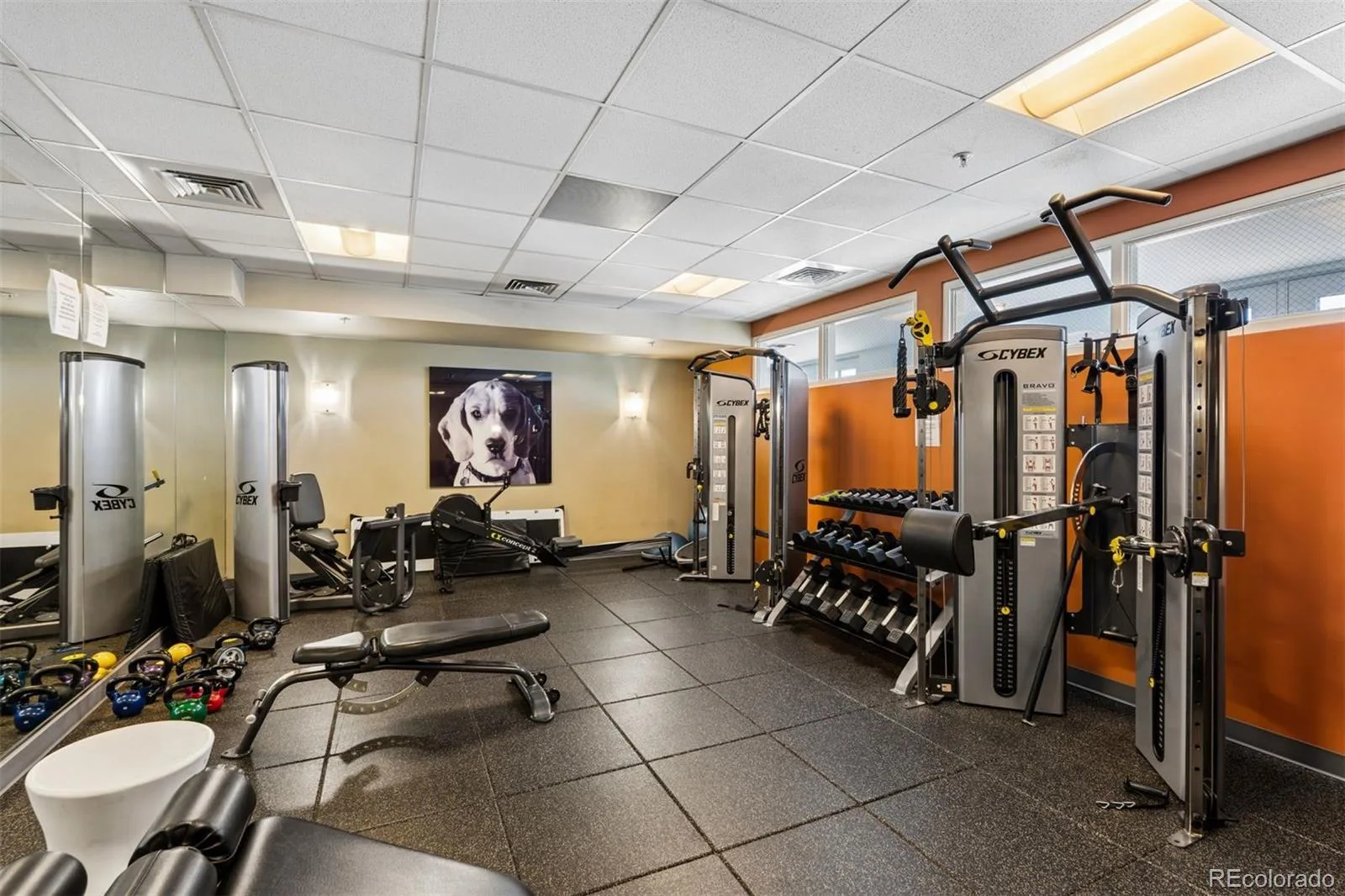 410 Acoma Street #305 Denver CO 80204 | MLS #REC6684331 09252026175541 1600 30