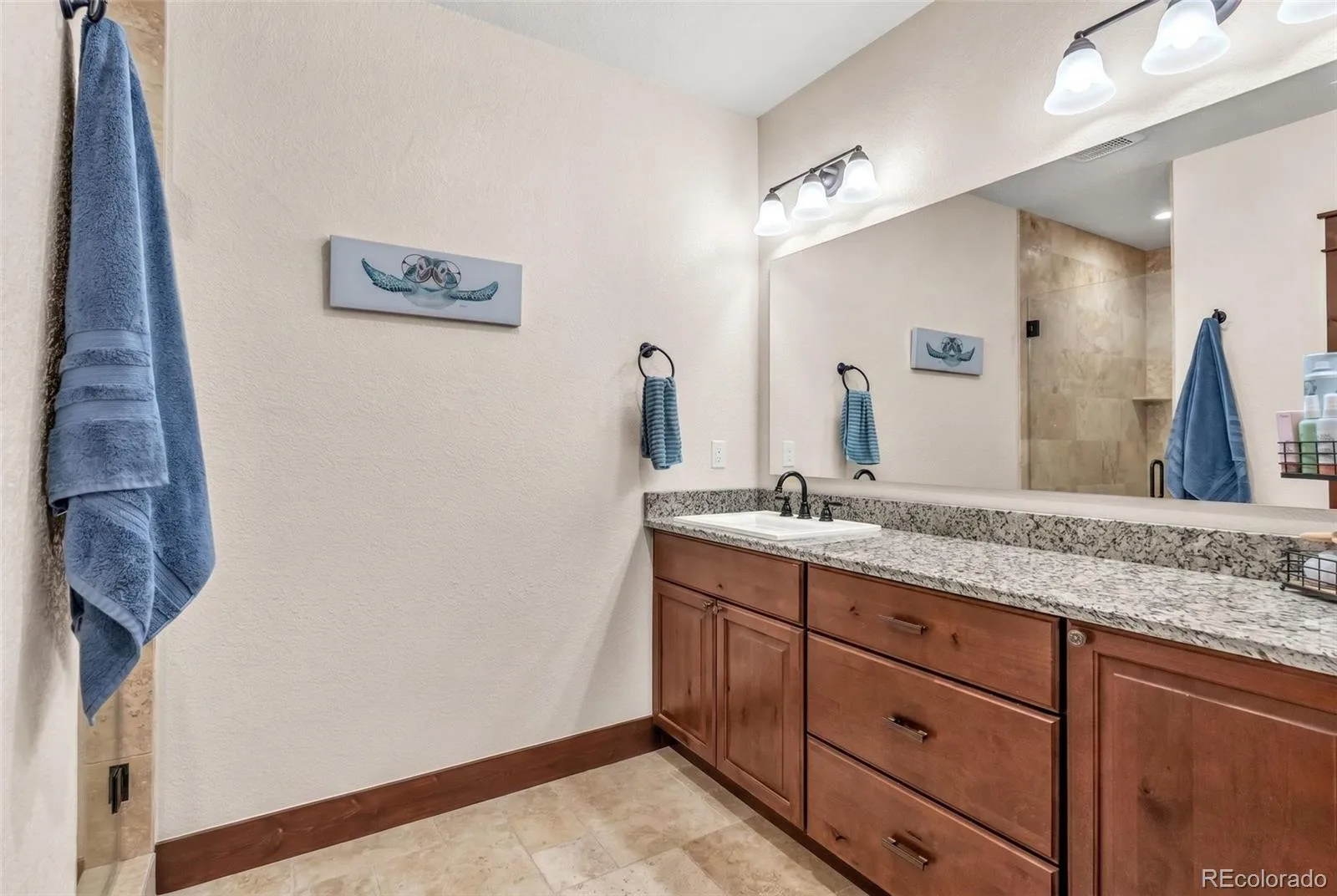 4166 S Castlewood Canyon Road Castle Rock CO 80104 | MLS #REC6686540 07072026202603 1600 28