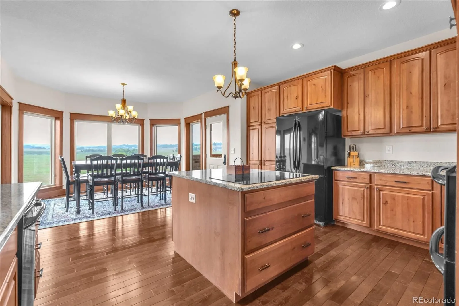 4166 S Castlewood Canyon Road Castle Rock CO 80104 | MLS #REC6686540 07072026202603 1600 4