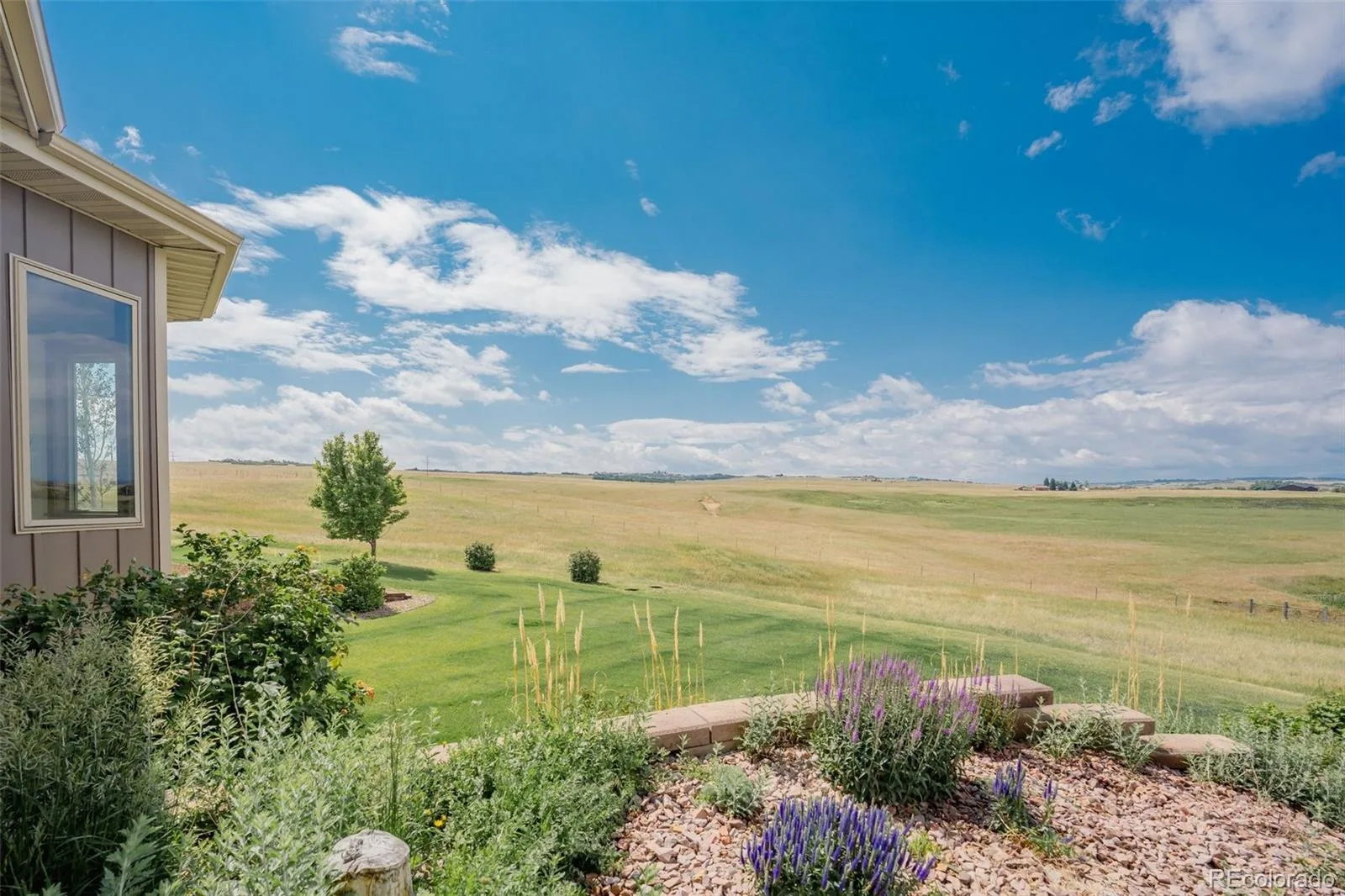 4166 S Castlewood Canyon Road Castle Rock CO 80104 | MLS #REC6686540 07072026202603 1600 40