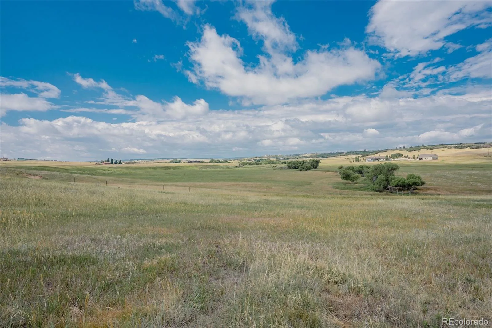 4166 S Castlewood Canyon Road Castle Rock CO 80104 | MLS #REC6686540 07072026202603 1600 41