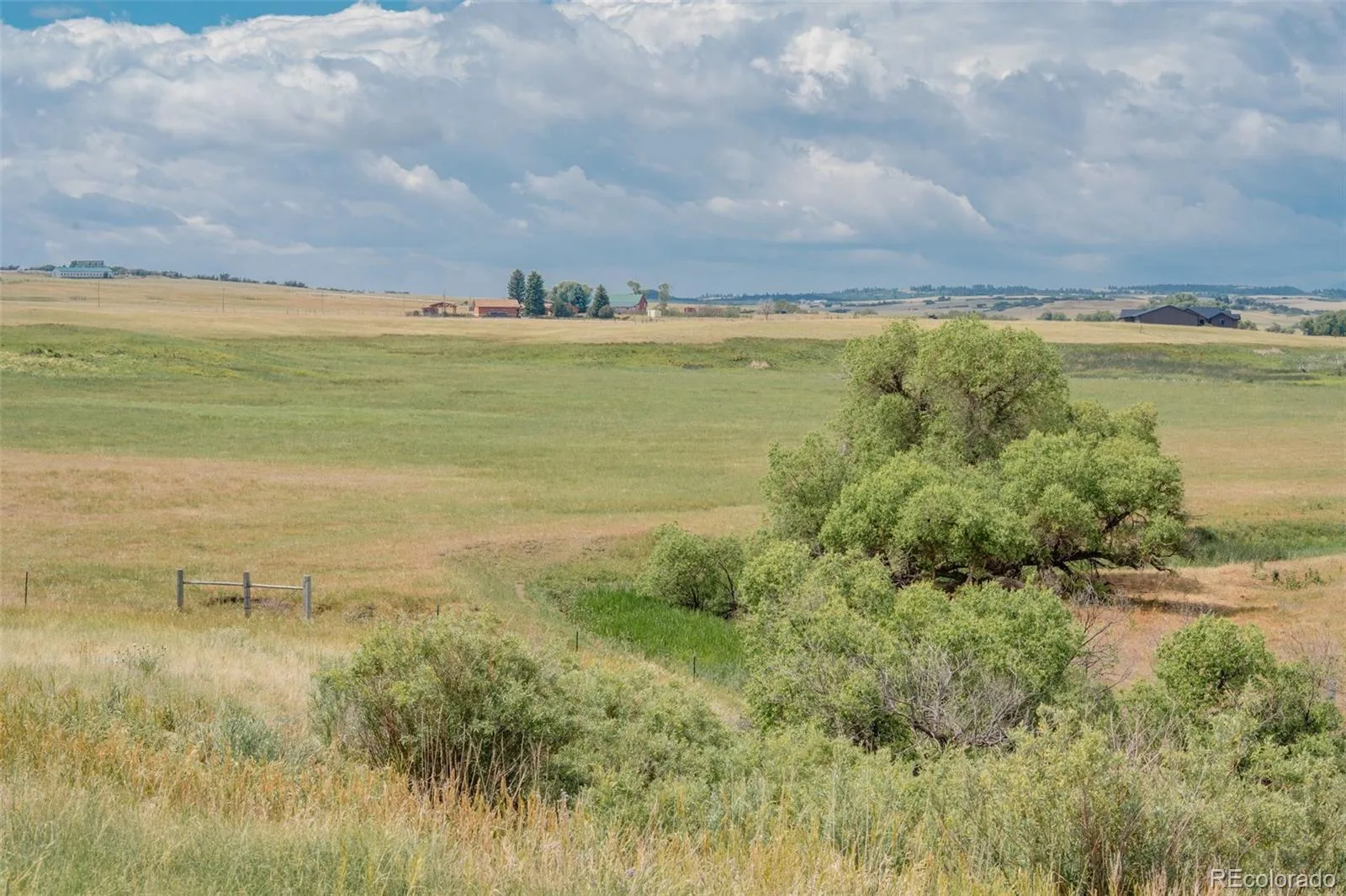 4166 S Castlewood Canyon Road Castle Rock CO 80104 | MLS #REC6686540 07072026202603 1600 42