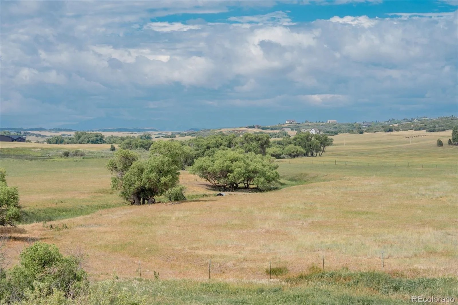 4166 S Castlewood Canyon Road Castle Rock CO 80104 | MLS #REC6686540 07072026202603 1600 43