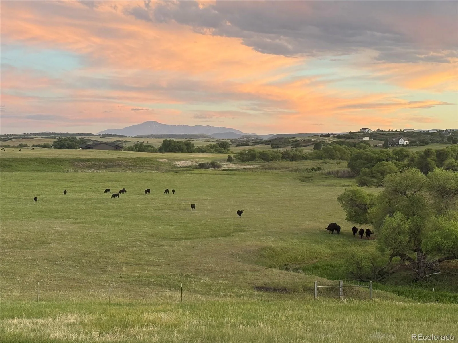 4166 S Castlewood Canyon Road Castle Rock CO 80104 | MLS #REC6686540 07072026202603 1600 45