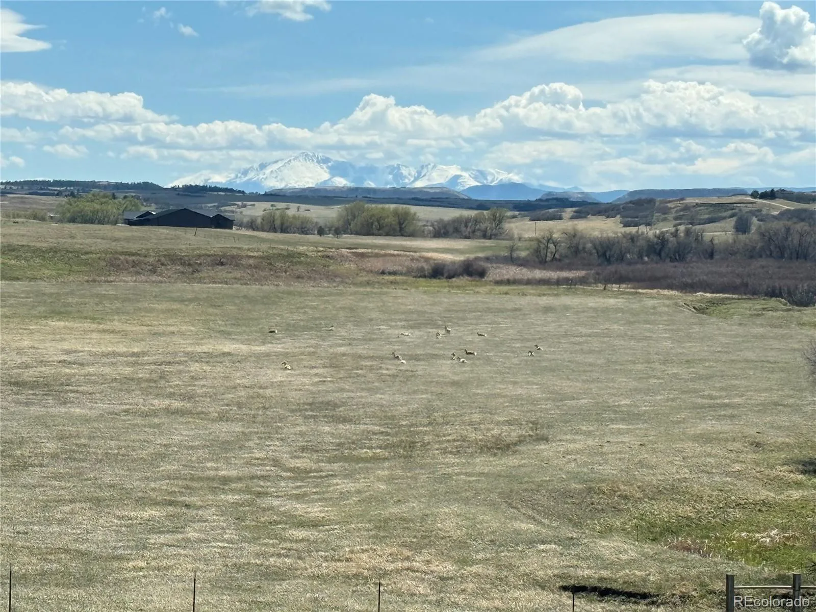 4166 S Castlewood Canyon Road Castle Rock CO 80104 | MLS #REC6686540 07072026202603 1600 46