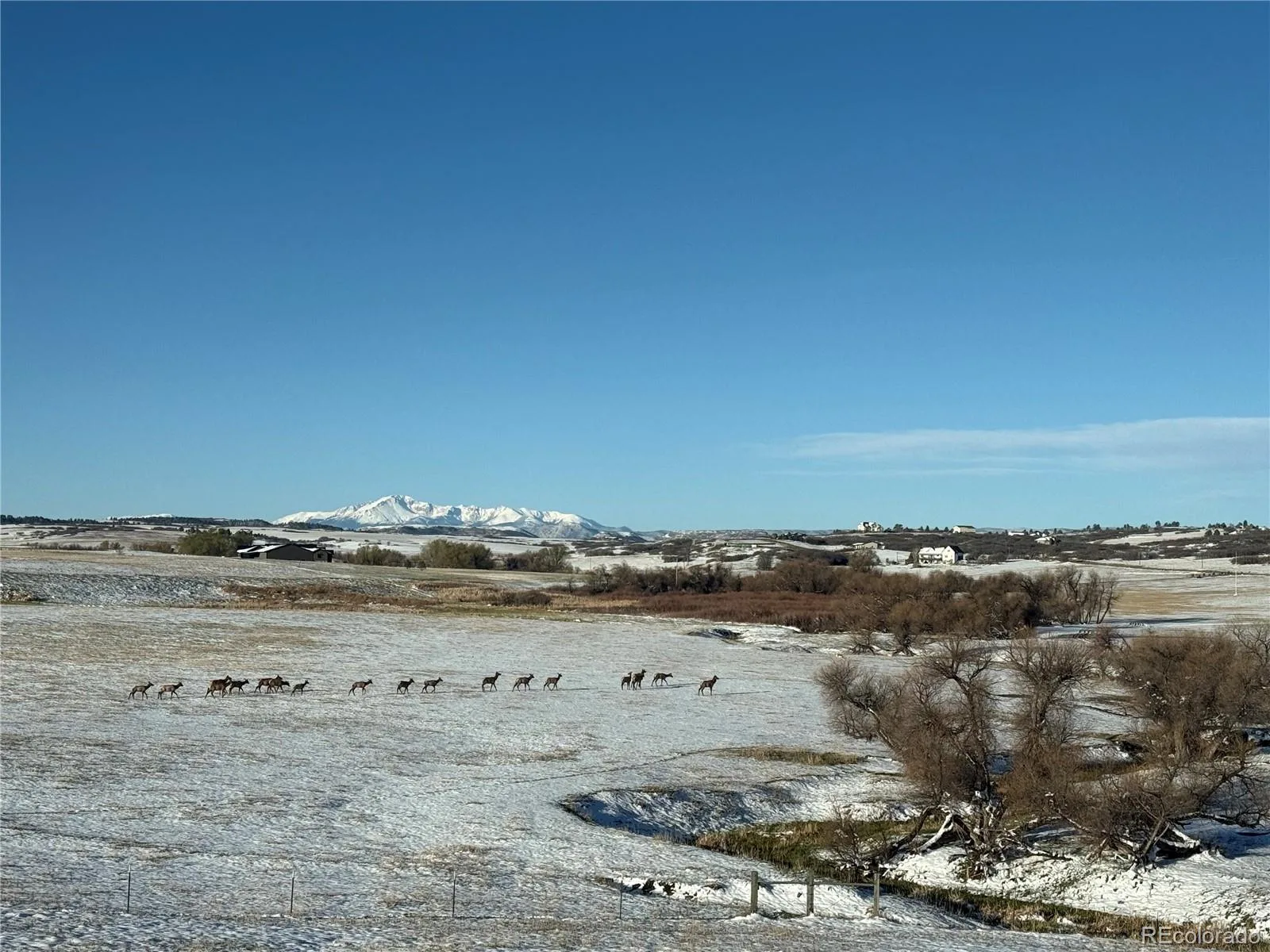 4166 S Castlewood Canyon Road Castle Rock CO 80104 | MLS #REC6686540 07072026202603 1600 47