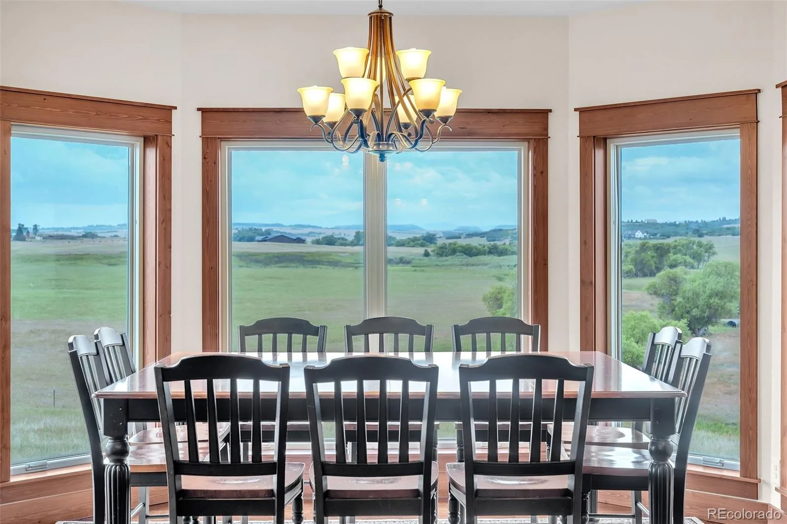 4166 S Castlewood Canyon Road Castle Rock CO 80104 | MLS #REC6686540 07072026202603 1600 9