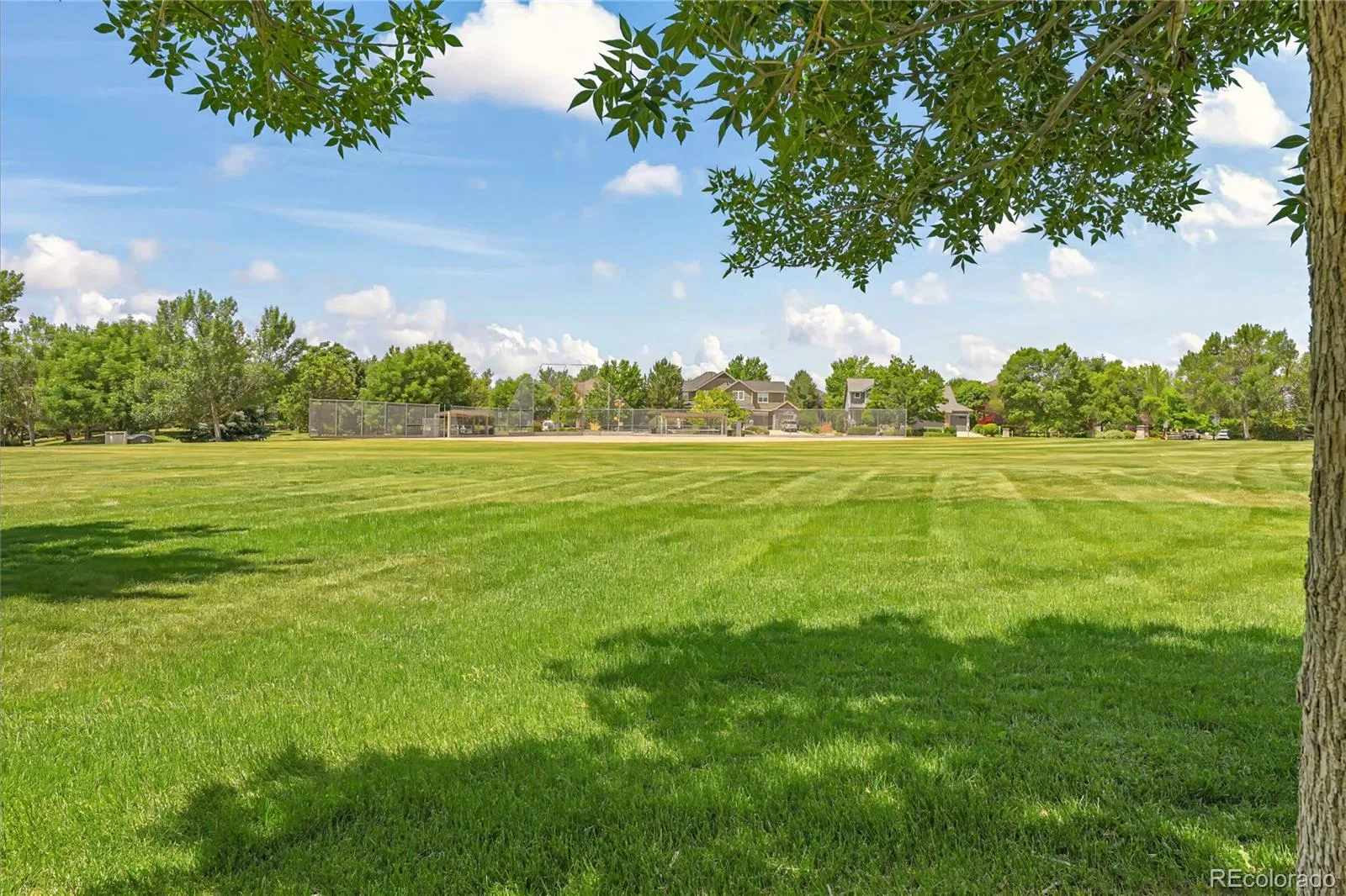 14241 Waterside Lane Broomfield CO 80023 MLS #REC6687294 06172026132027 1600 39