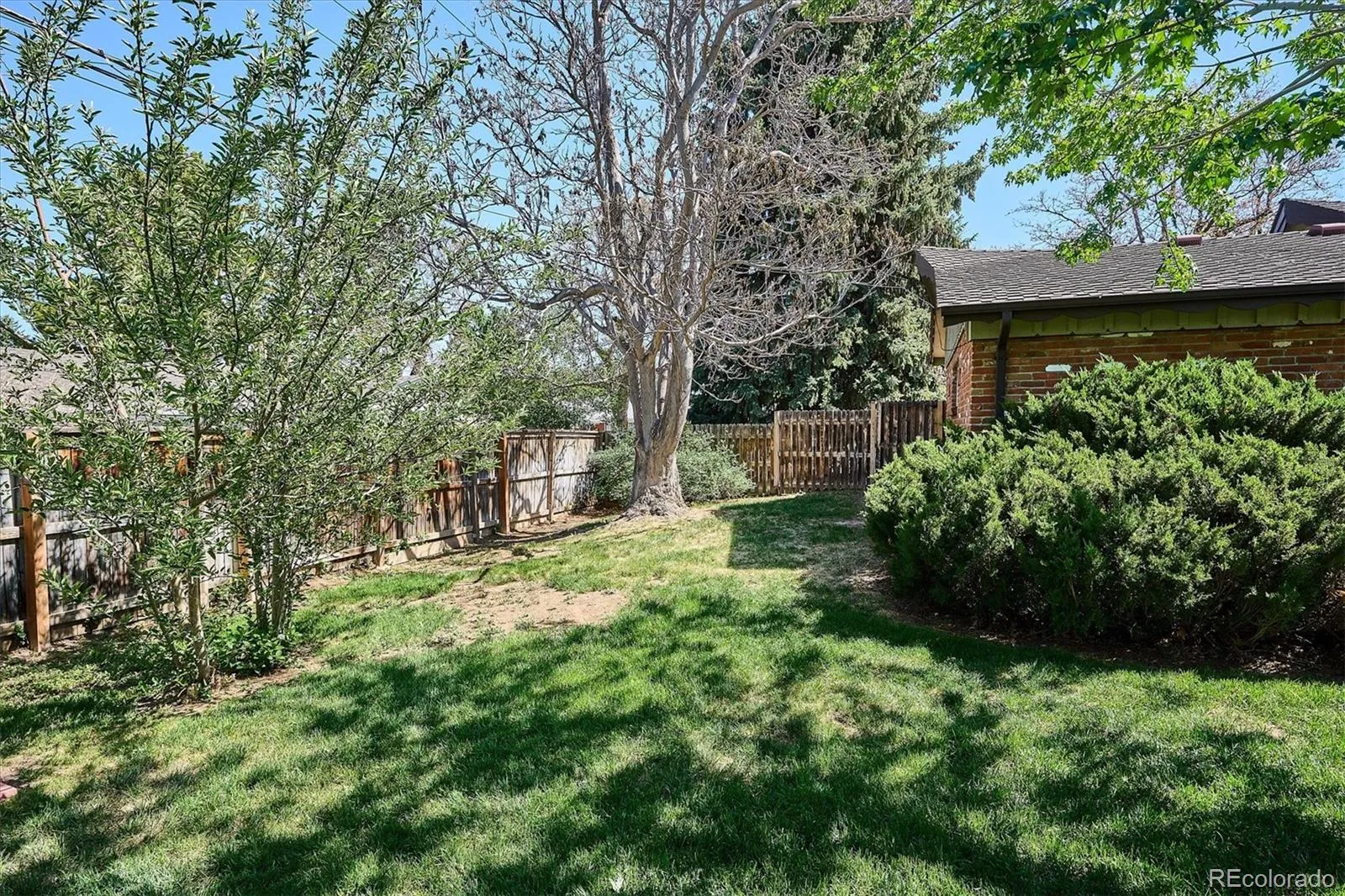 385 Oakland Street Aurora CO 80010 MLS #REC6695107 05132026210305 1600 37