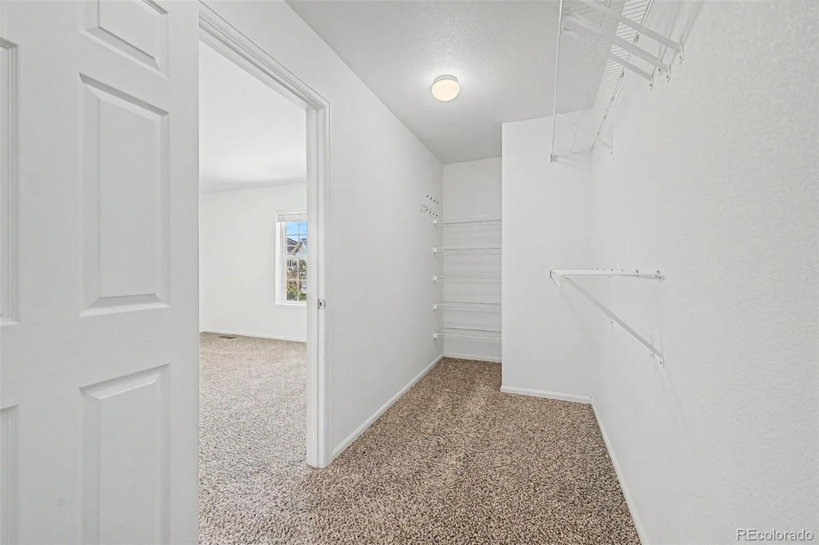 3505 Dinosaur Street Castle Rock CO 80109 | MLS #REC6696819 08292026164749 1600 20