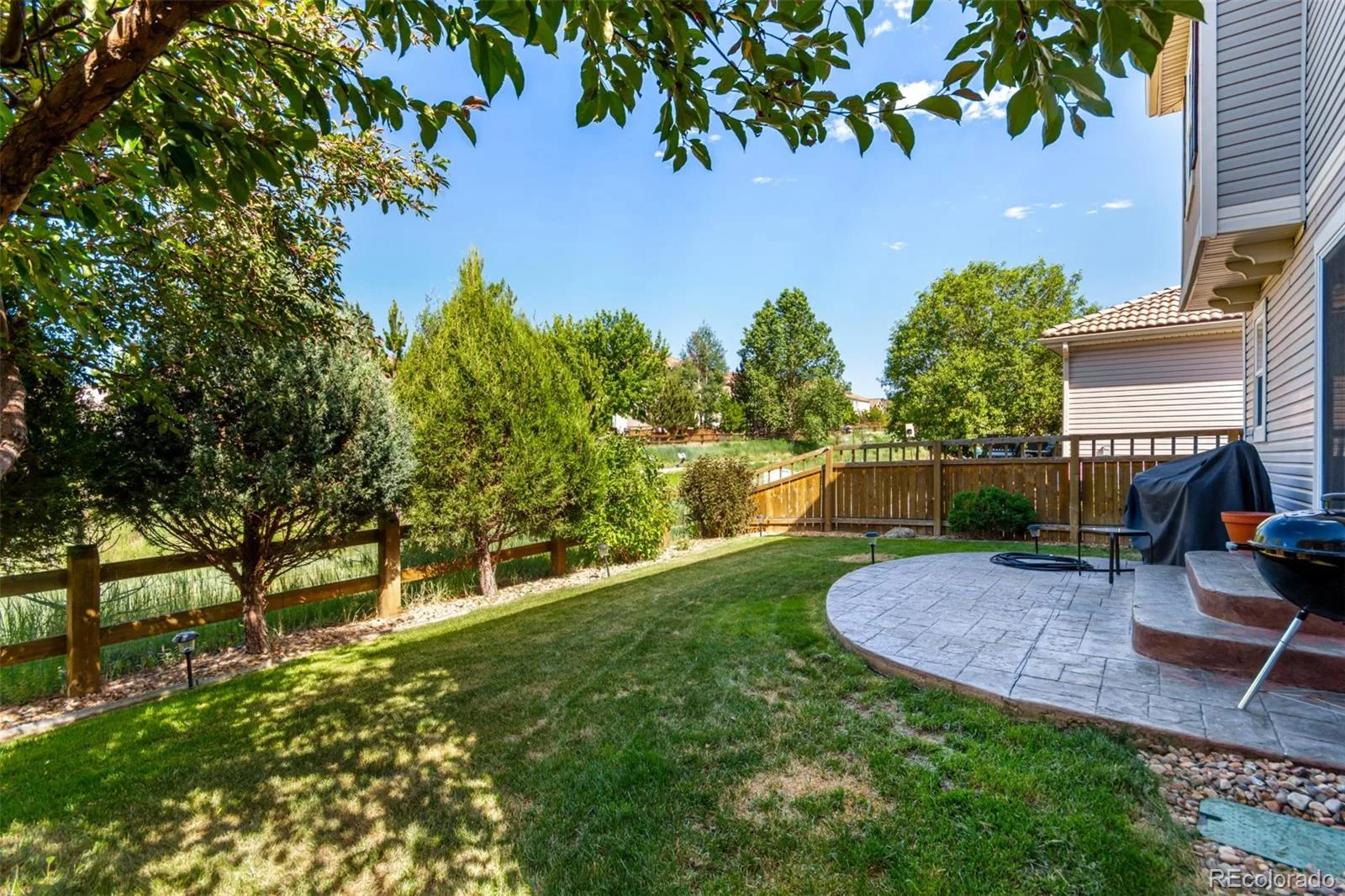 3505 Dinosaur Street Castle Rock CO 80109 | MLS #REC6696819 08292026164749 1600 31
