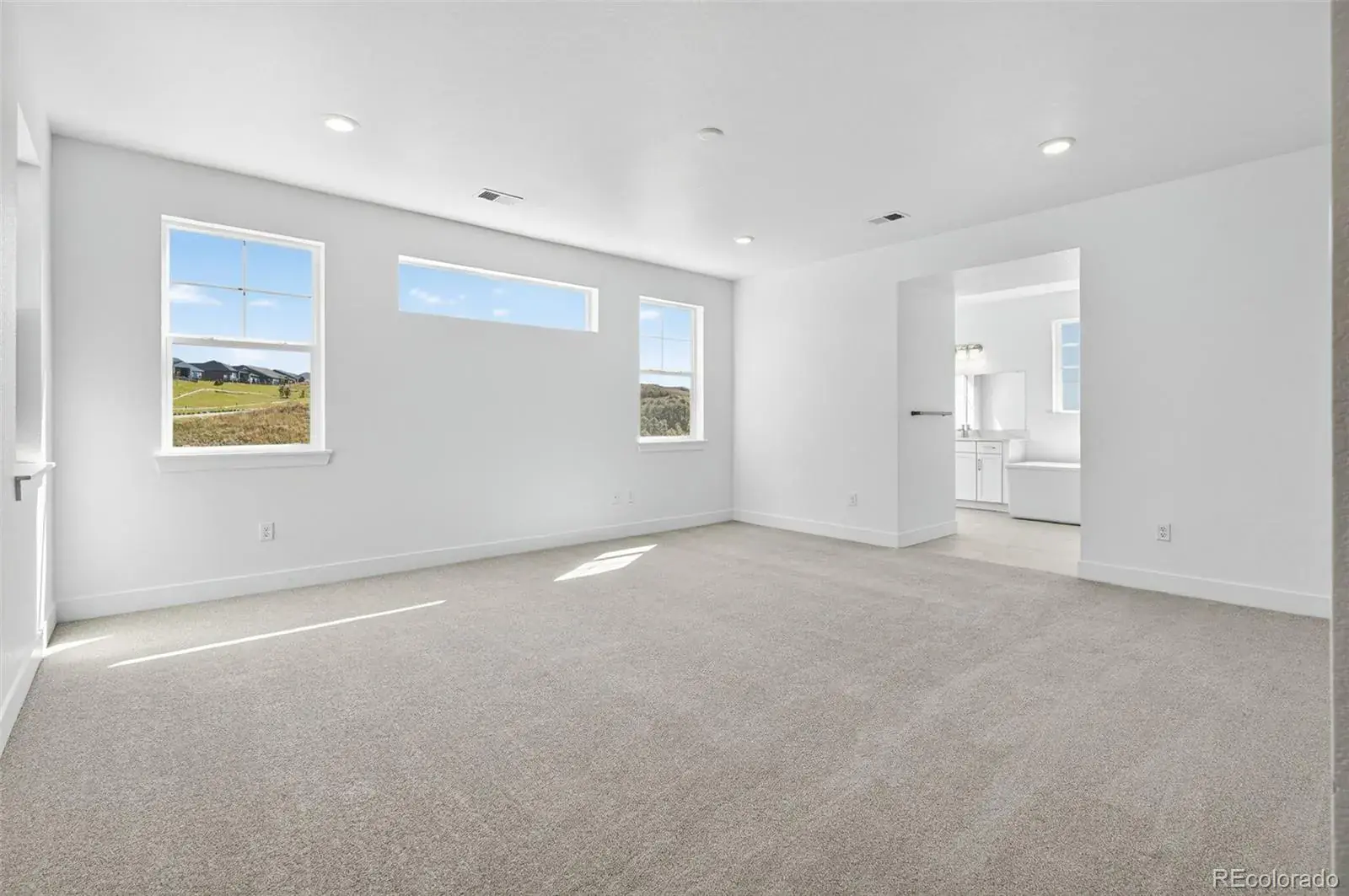 3438 Backdrop Court Castle Rock CO 80108 MLS #REC6699847 01082026162348 1600 19