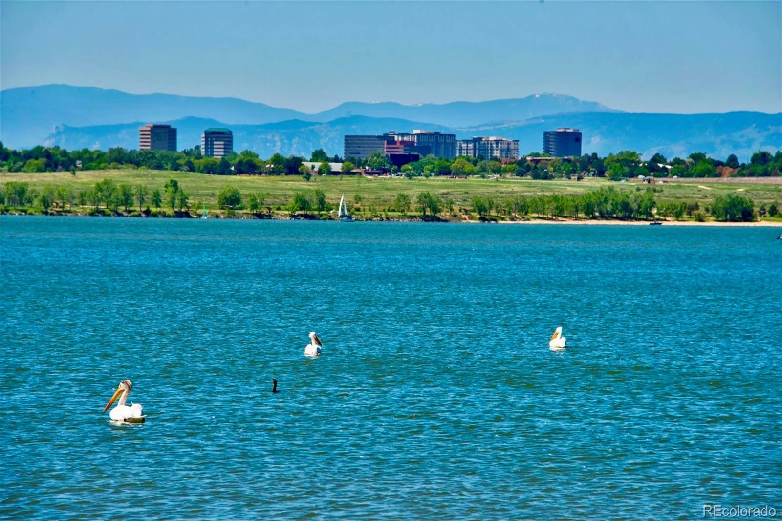 2906 S Parker Court Aurora CO 80014 MLS #REC6701870 07142026010619 1600 41