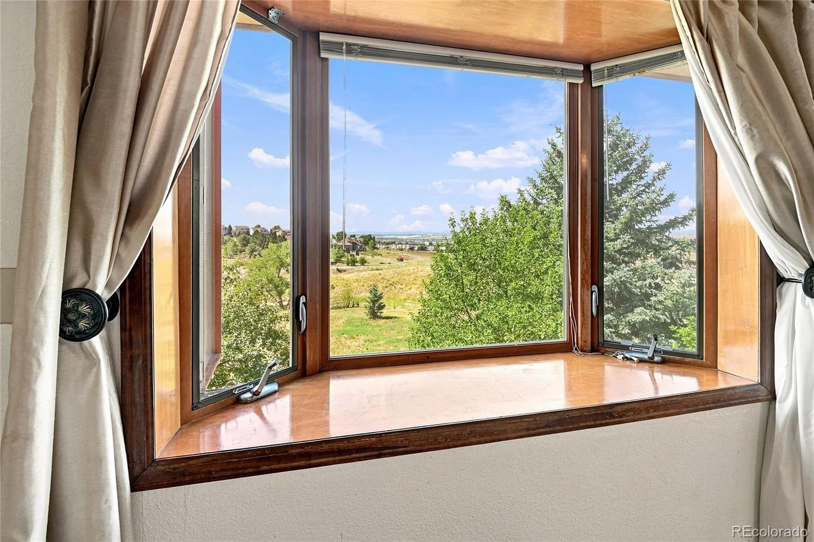 11226 Panorama Court Parker CO 80138 | MLS #REC6704618 08082026192446 1600 10