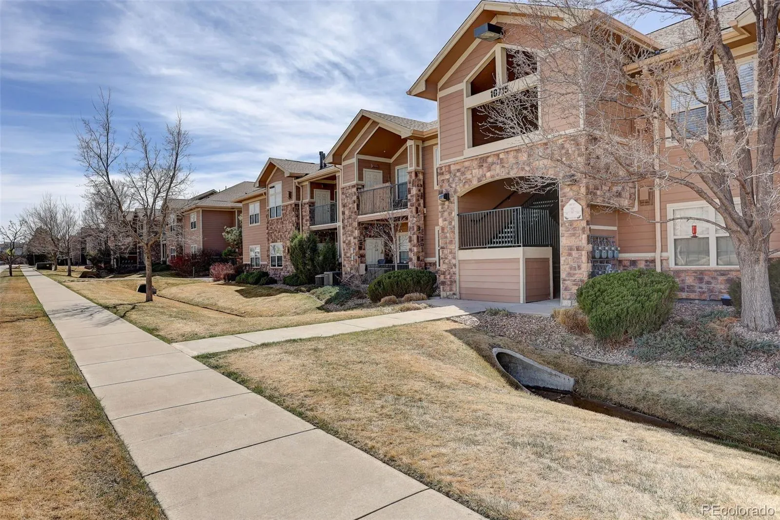10715 Twenty Mile Road #202 Parker CO 80134 MLS #REC6705063 03202026054926 1600 2
