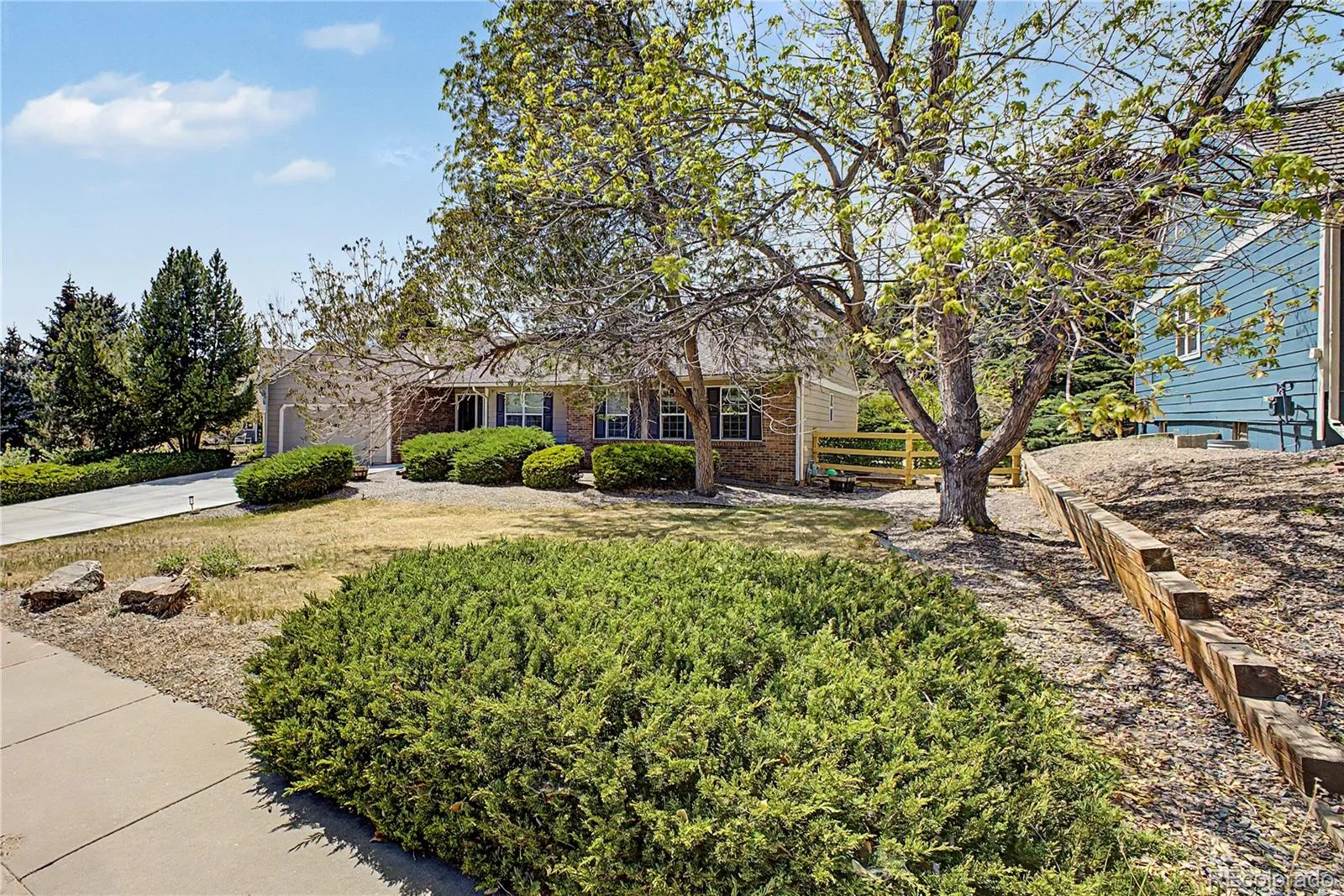 7831 Sangre De Cristo Littleton CO 80127 | MLS #REC6706407 08102026185634 1600 6