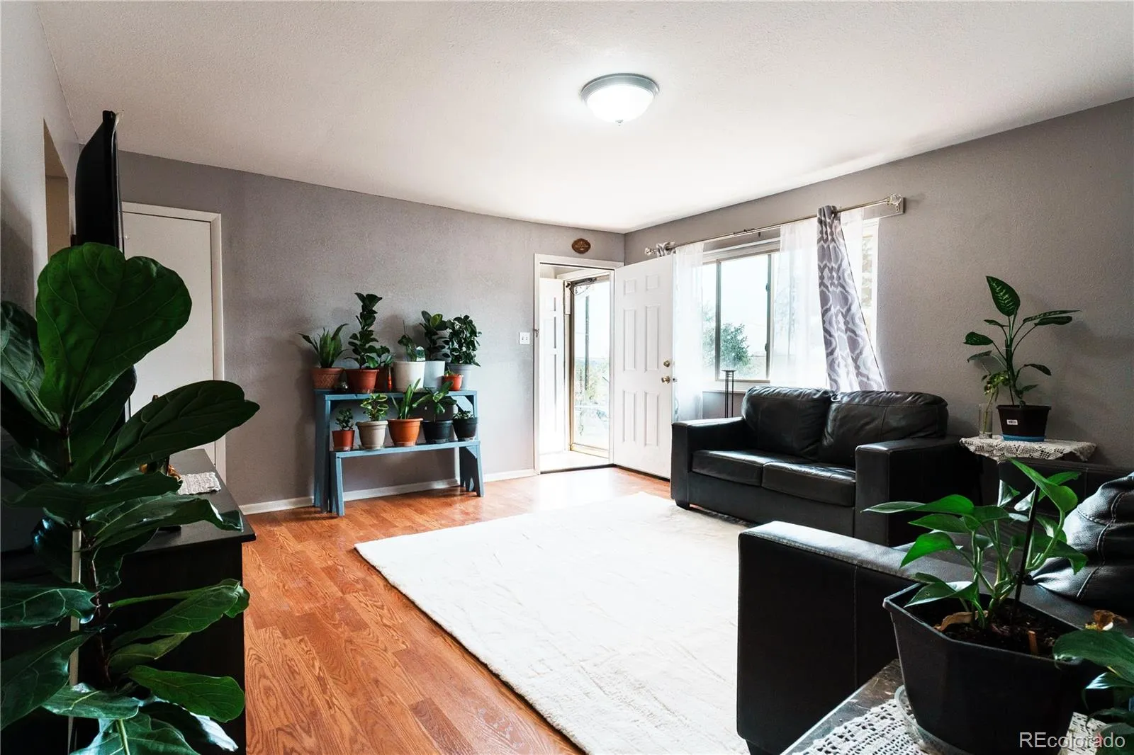 04092026060647 1600 2