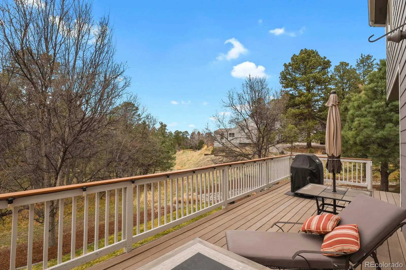 6261 Riviera Court Parker CO 80134 MLS #REC6711131 04012026175212 1600 35